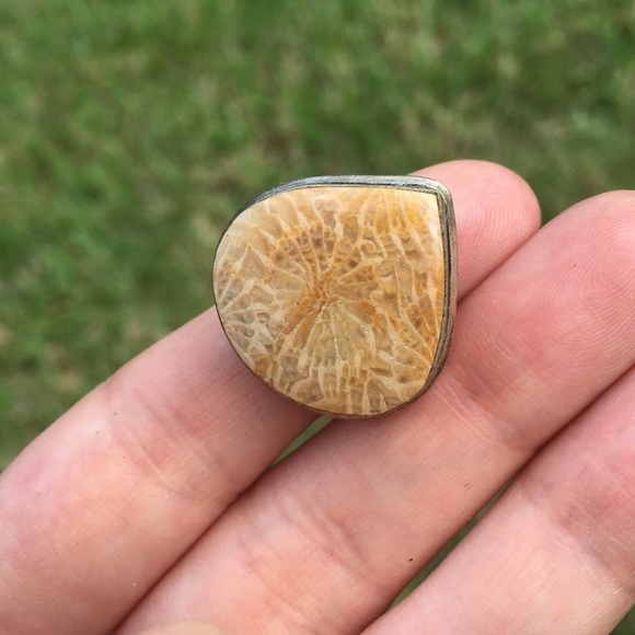Coral Fossil Ring - Picture 4 of 6